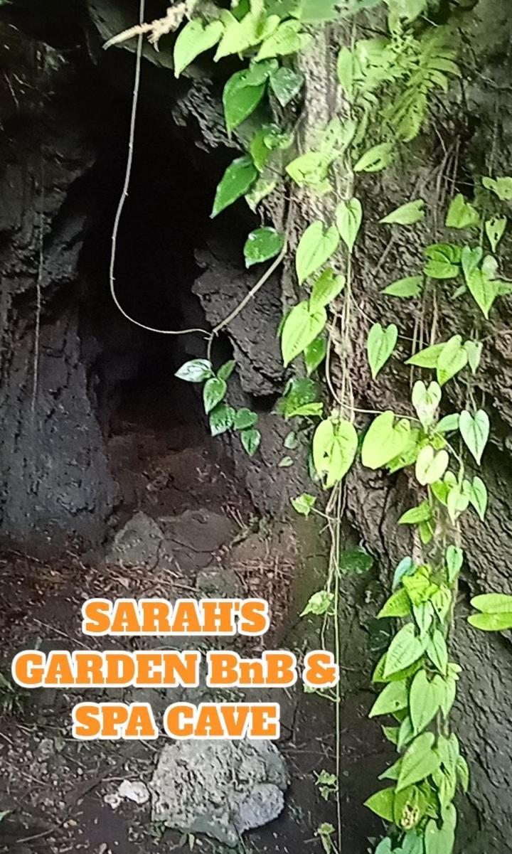 Bed and Breakfast Sarah'S Garden Bnb & Spa Clarin  Exterior foto